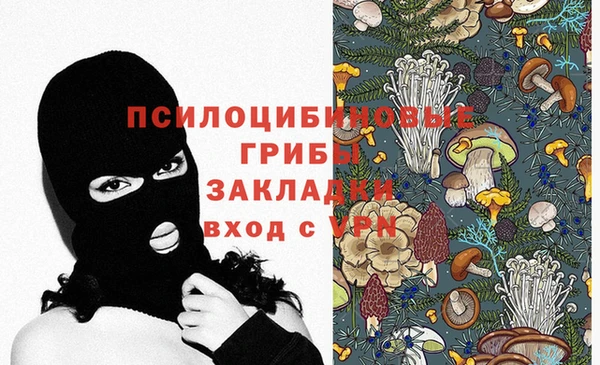 спиды Абдулино